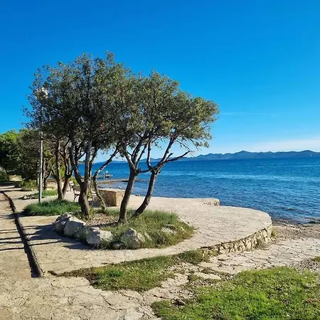 Sunny Sky Punta Skala, View, 75 M To The Petrcane